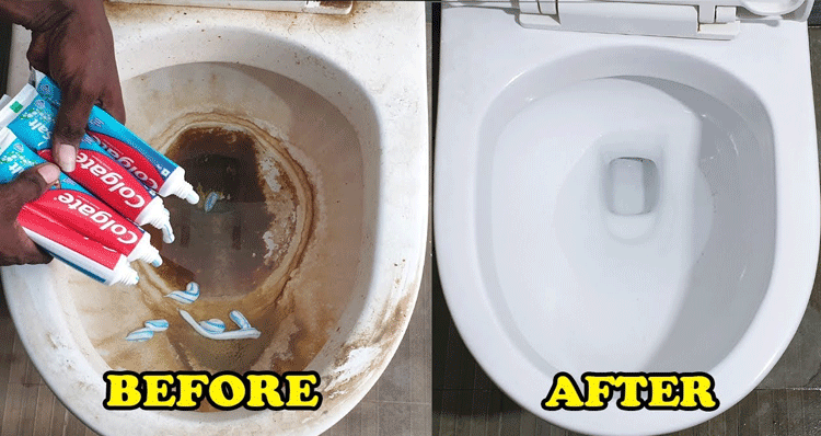 clean-toilet