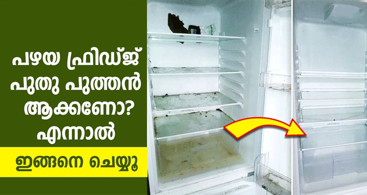 old-fridge