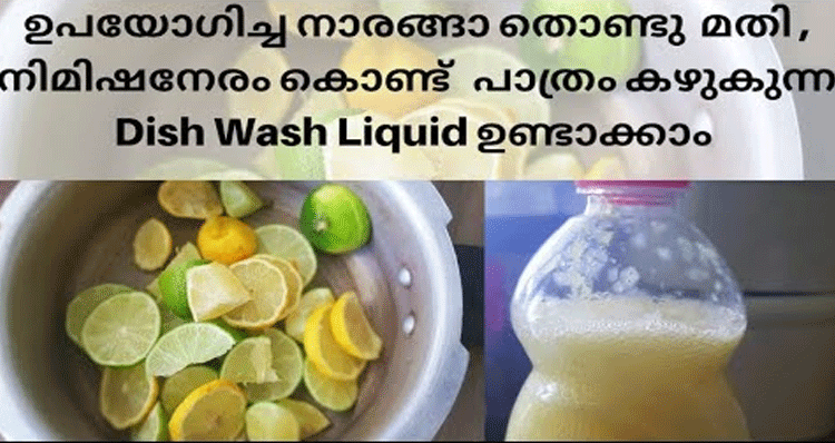 dish-wash-liquid