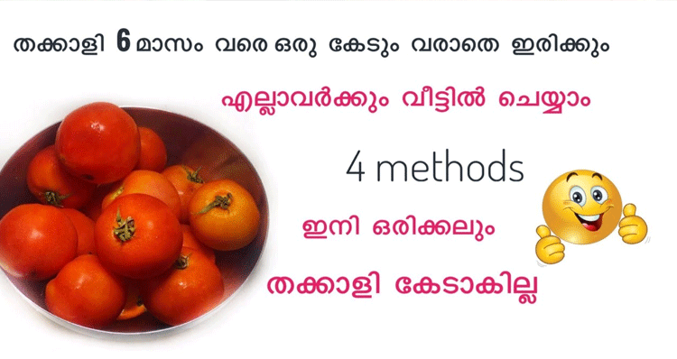 keep-tomatoes-fresh