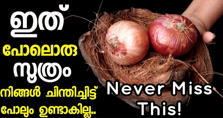 onion-peel-coconut-husk-reuse