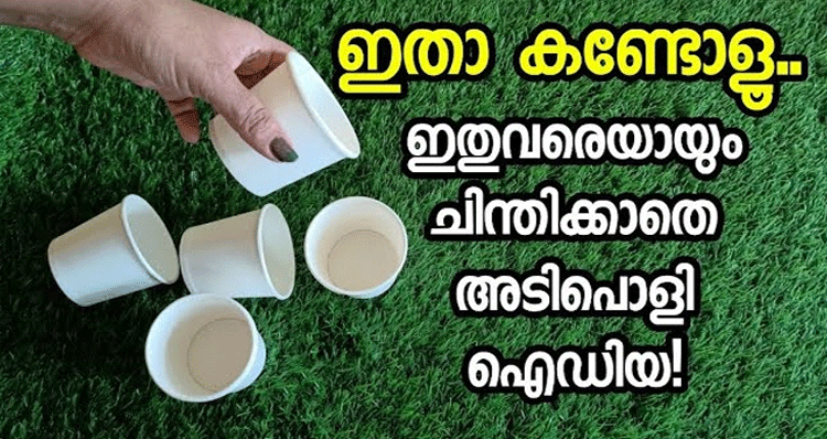 reuse-idea-of-paper-cups