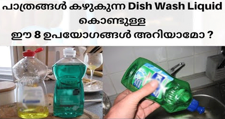 Dish-Wash-Liquid-use
