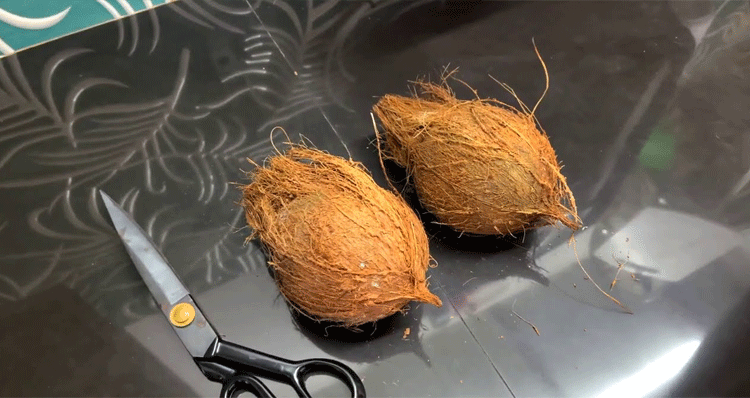 coconut-tips