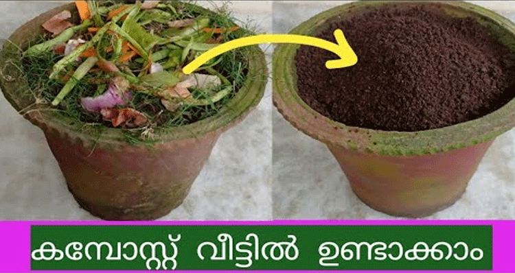 compost-without-bad-smell