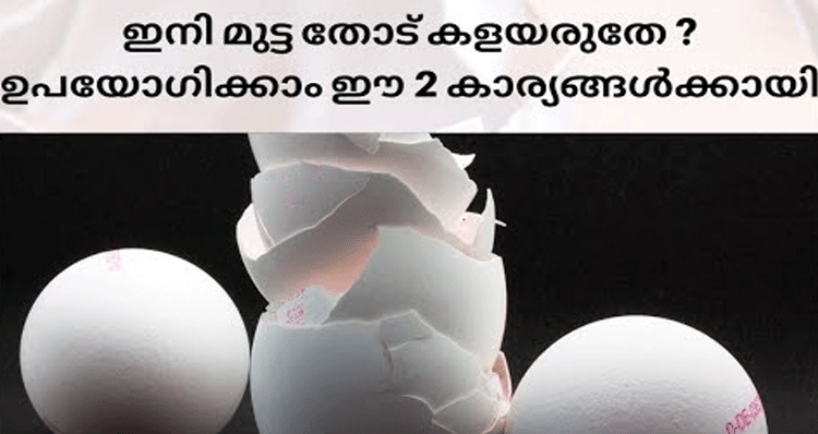 egg-shell-uses