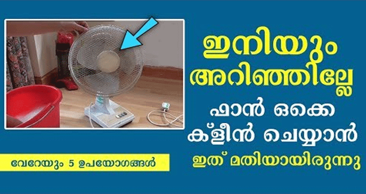 how-to-clean-fan