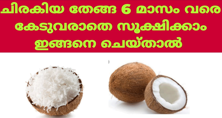 store-coconut-long-time