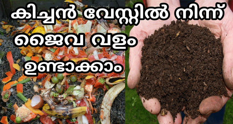 compost-from-kitchen-waste