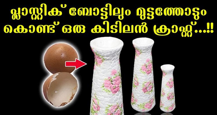 egg-shell-and-plastic-bottle-craft