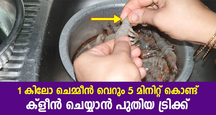 prawns-cleaning-tips