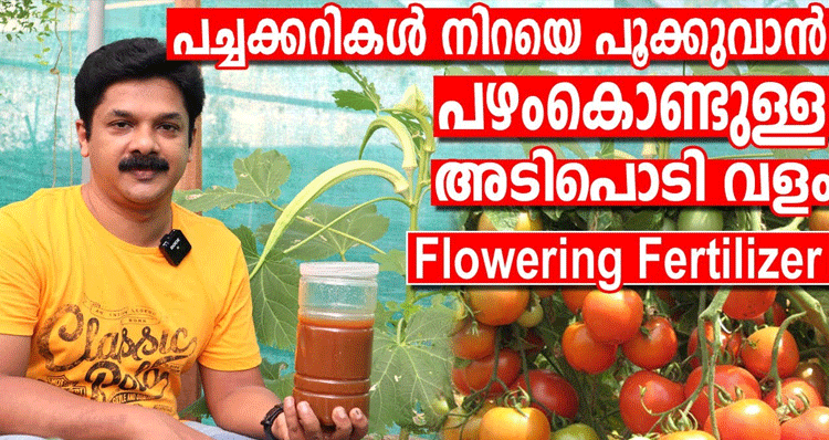 Best-flowering-Fertilizer