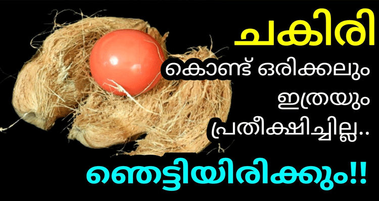Coconut-husk-icecream-ball