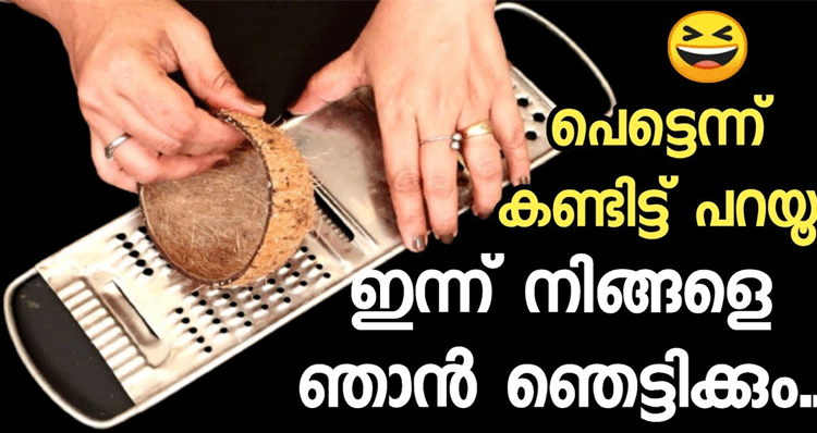 Craft-idea-using-coconut-shell
