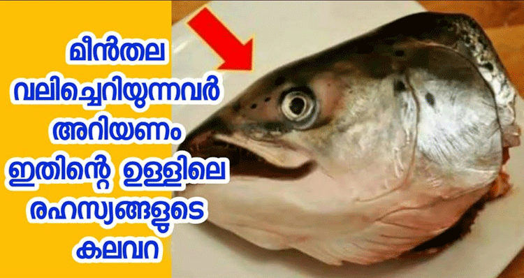 Fish-Thala-Health