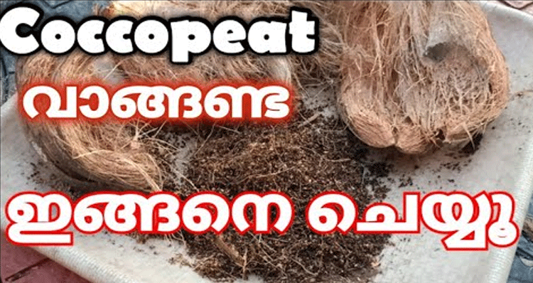 make-Coccopeat-at-home