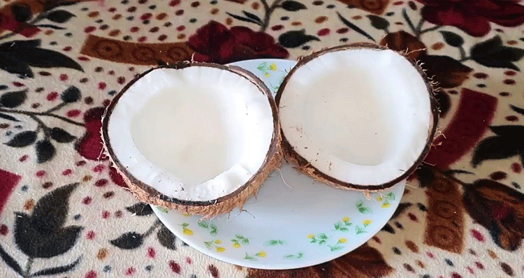 one-piece-coconut