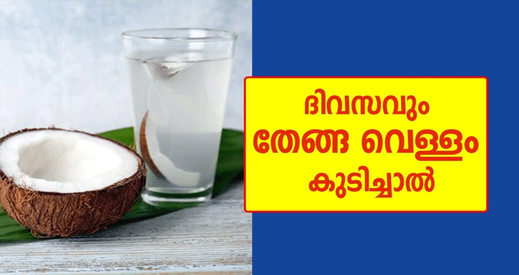 daily-coconut-water