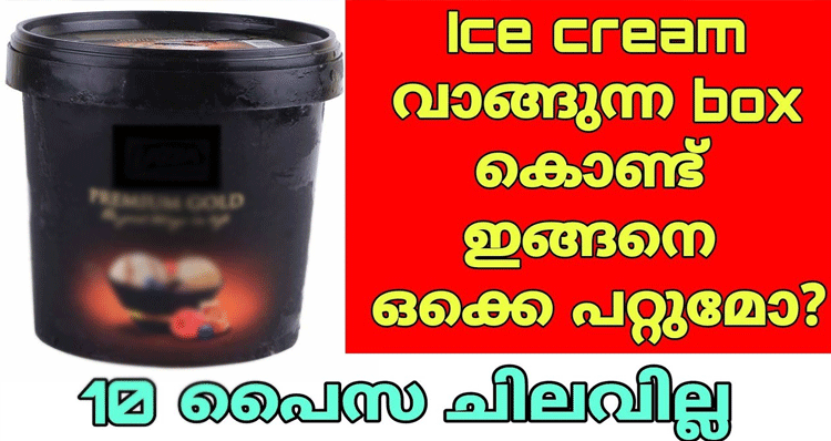 icecream-box-reuse