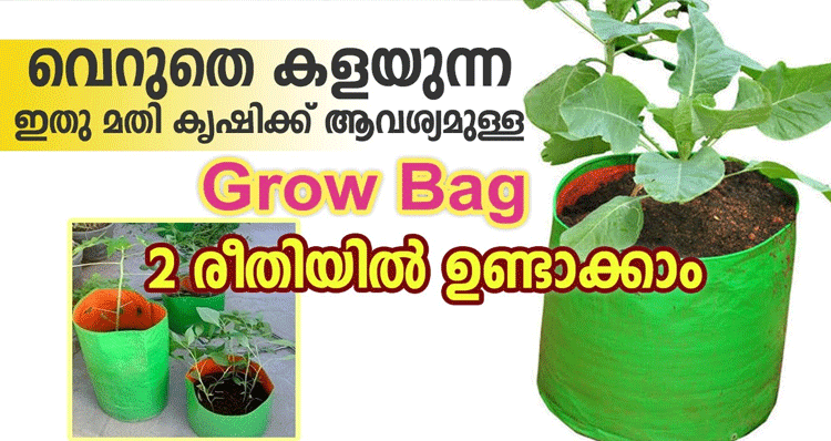 make-grow-bag