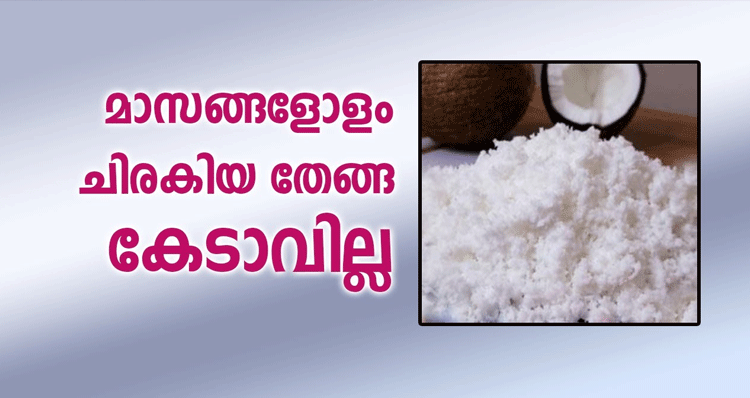 store-grated-coconut