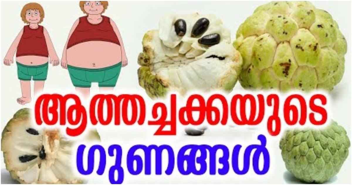 Medicinal Benefits Of Custard Apple News Malayalam