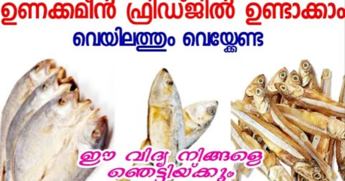 Homemade Dried Fish Tips News Malayalam