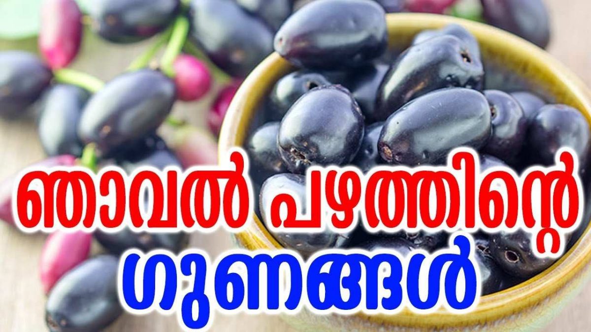 Health Benefits Of Jamun Fruit News Malayalam