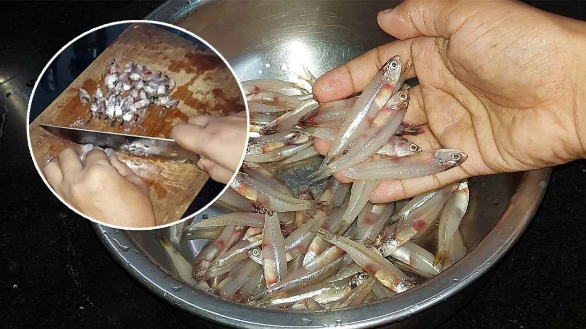 Cleaning Fish Easy Kitcen Tips News Malayalam