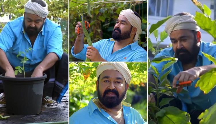 Mohanlal Organic Farm In Home