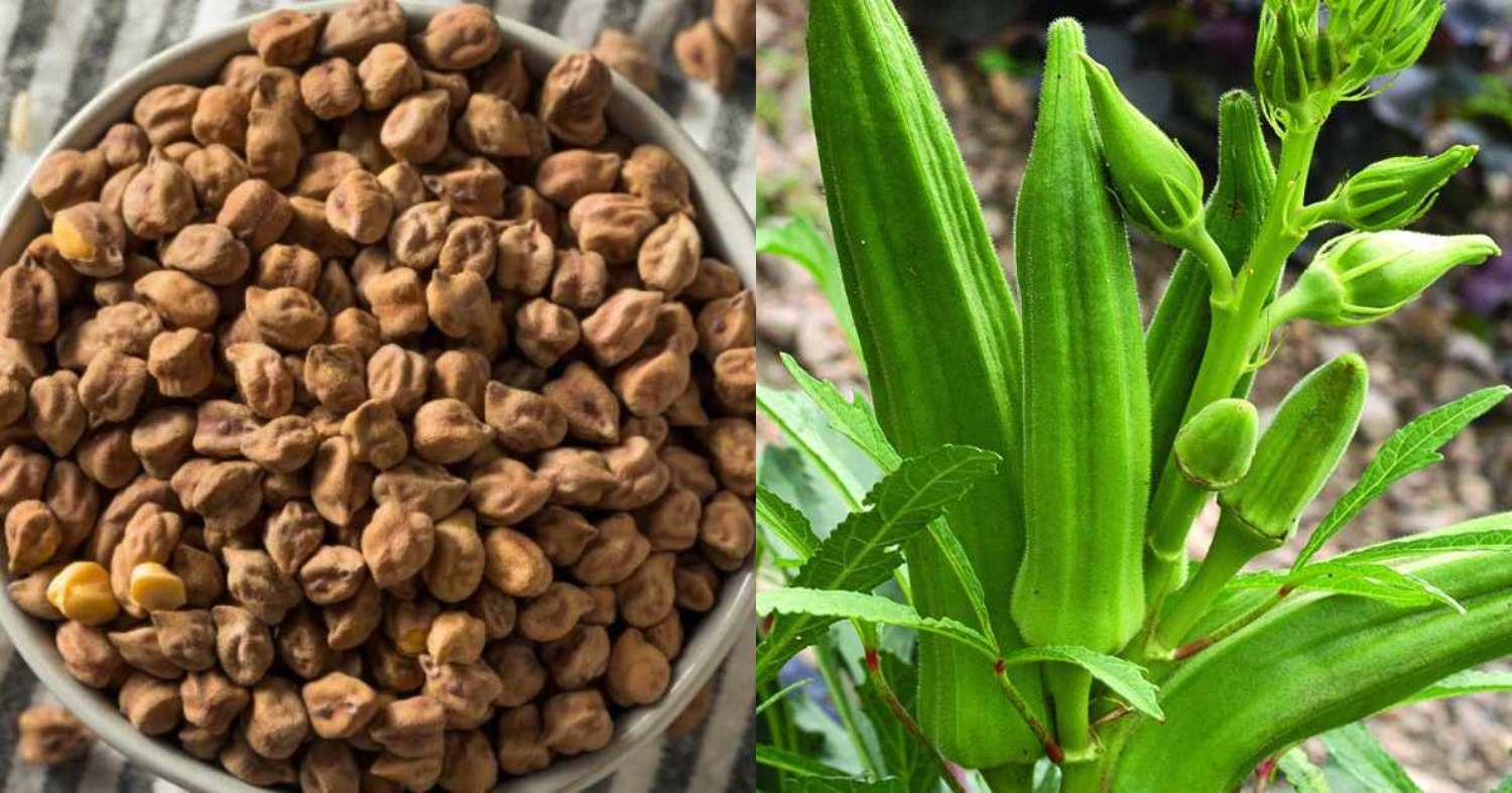 Easy Ladies Finger Krishi Tips