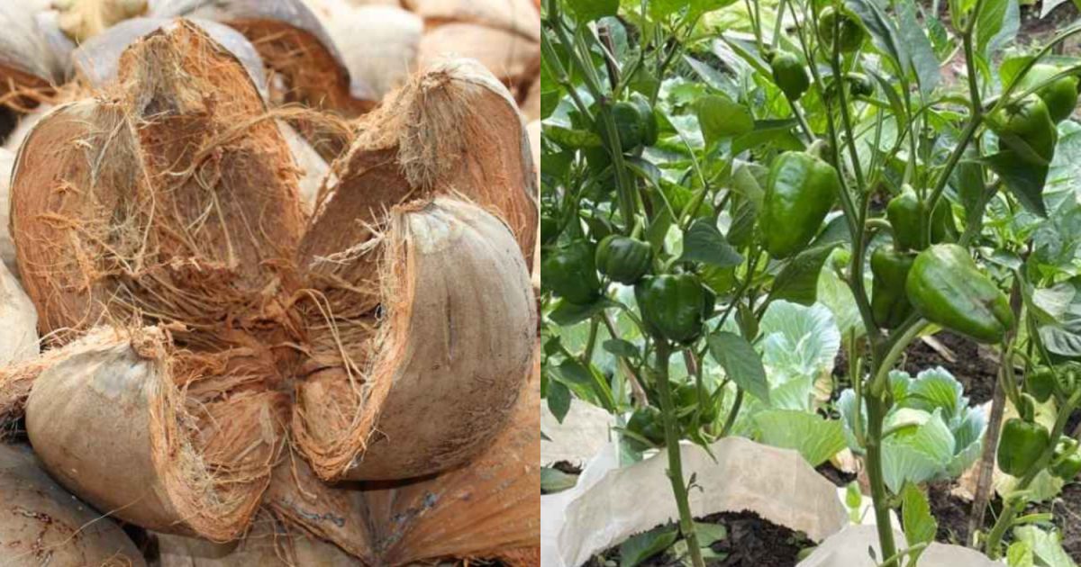 Grobag Filling Tips