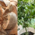 Grobag Filling Tips