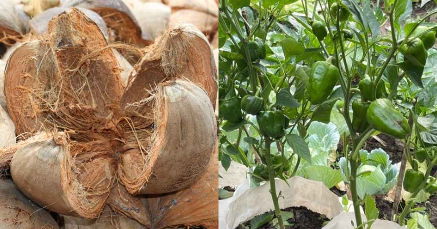 Grobag Filling Tips