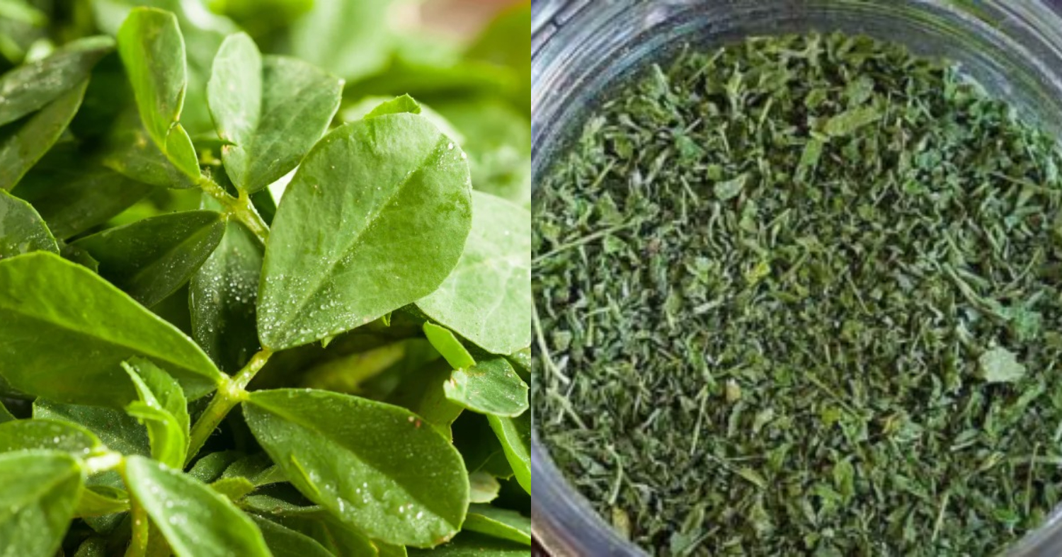 Homemade Kasoori Methi Making