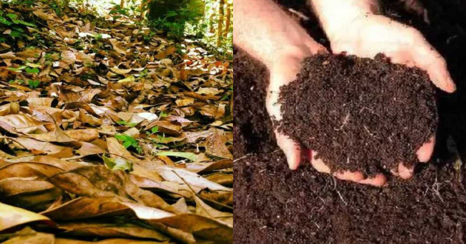 How to Make Compost Easily