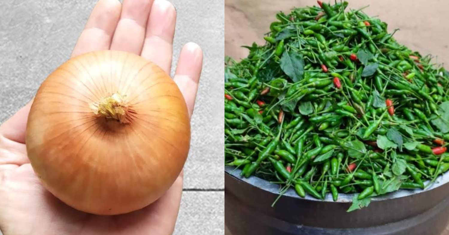 Kanthari Mulak Krishi using Onion