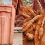 Kappa Krishi Ideas