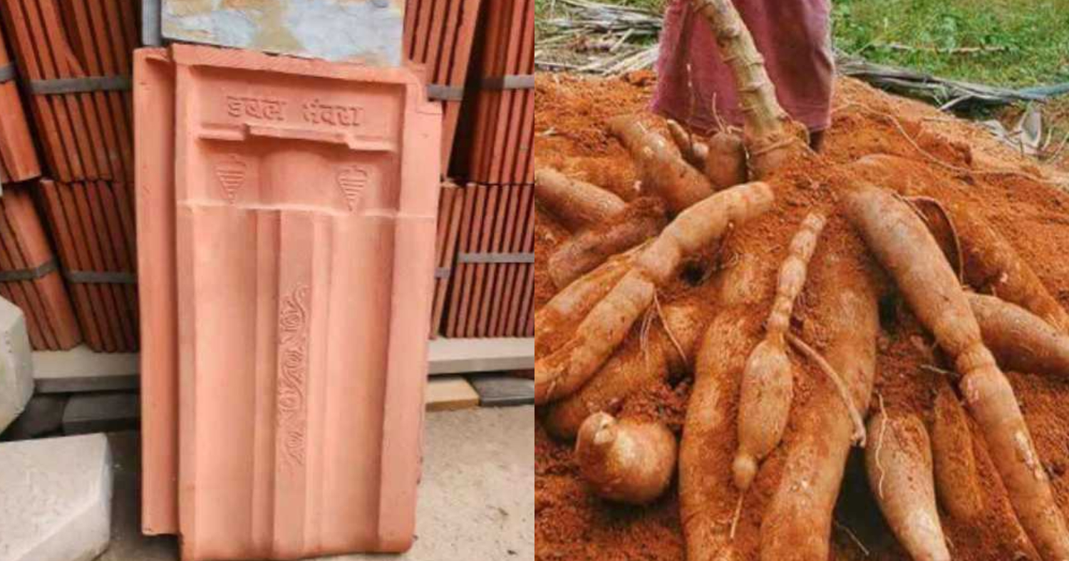 Kappa Krishi Ideas